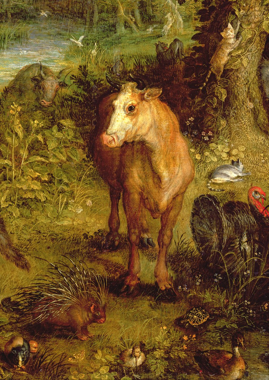 Earth or The Earthly Paradise, detalj av en ku, piggsvin og andre dyr, 1607-08 olje på kobber detalj av 93899 av Jan the Elder Brueghel