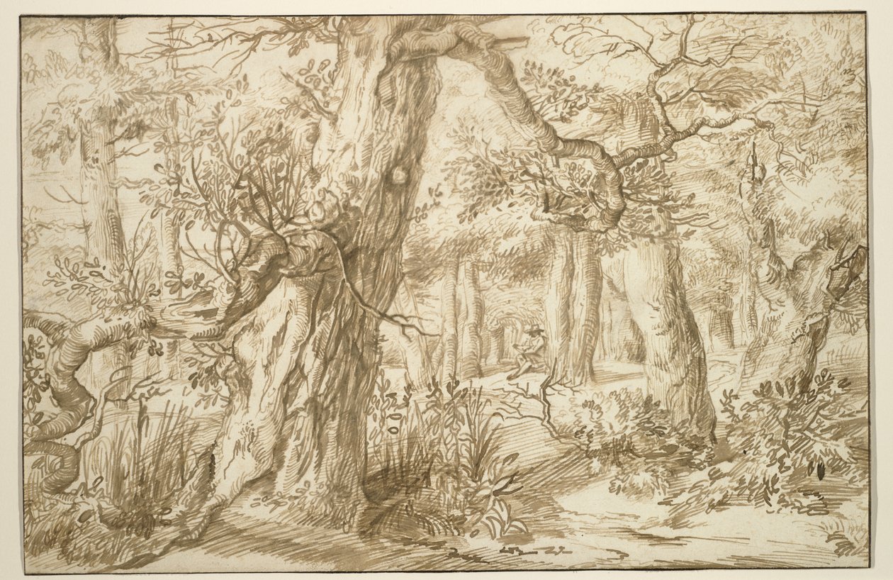 Skoginteriør med tegner, ca. 1664 (brunt blekk på antikk lagt papir) av Jan the Elder Lievens