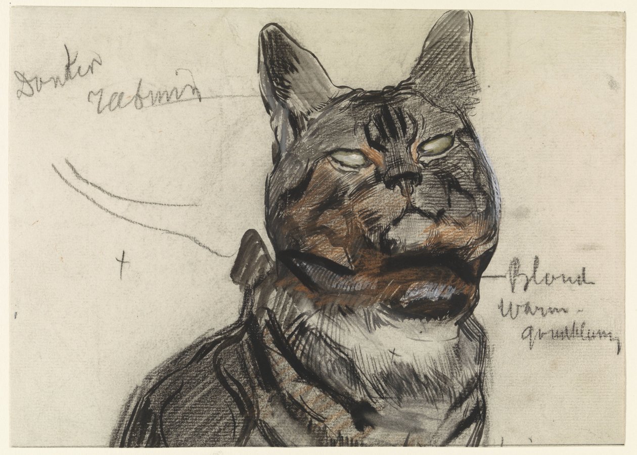 Katt, med fargenotater av Jan van Essen