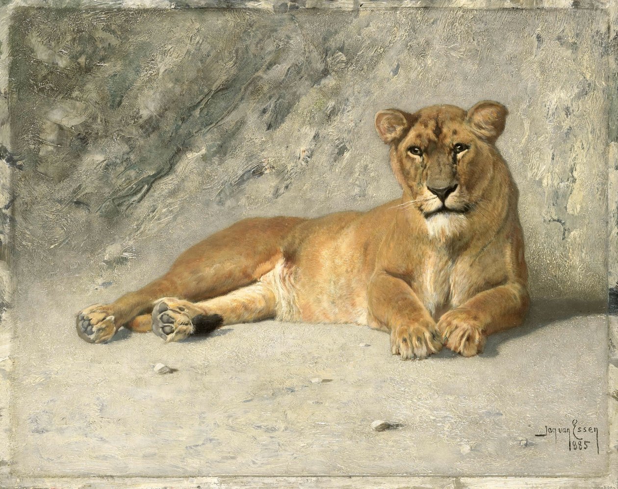 Løvinne hviler av Jan van Essen