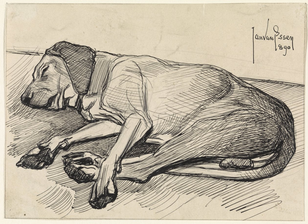 Sovende hund, til venstre av Jan van Essen