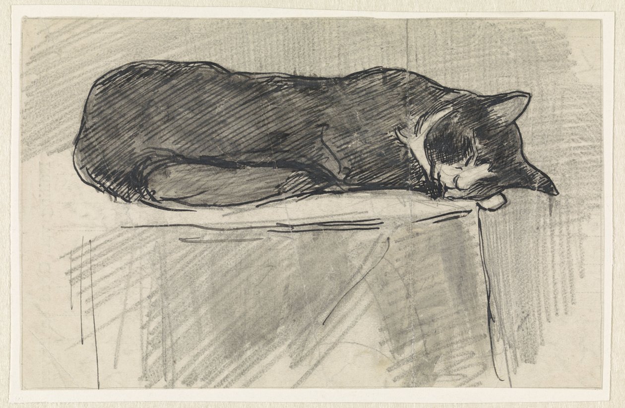 sovende katt av Jan van Essen