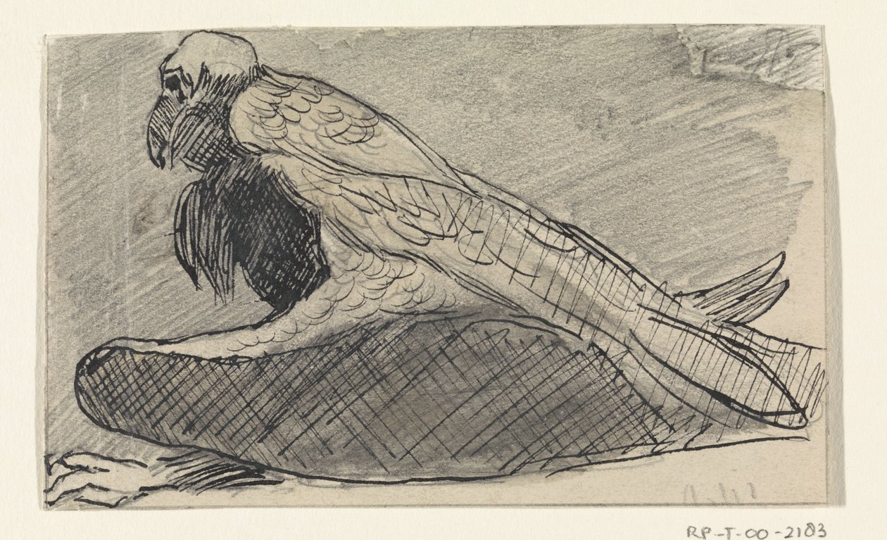 Sittende gribb av Jan van Essen