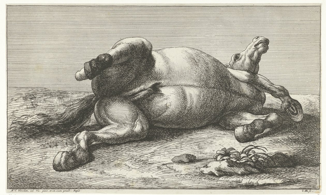 Død hest liggende på venstre side Dead Horses (serietittel) av Jan van Huchtenburg