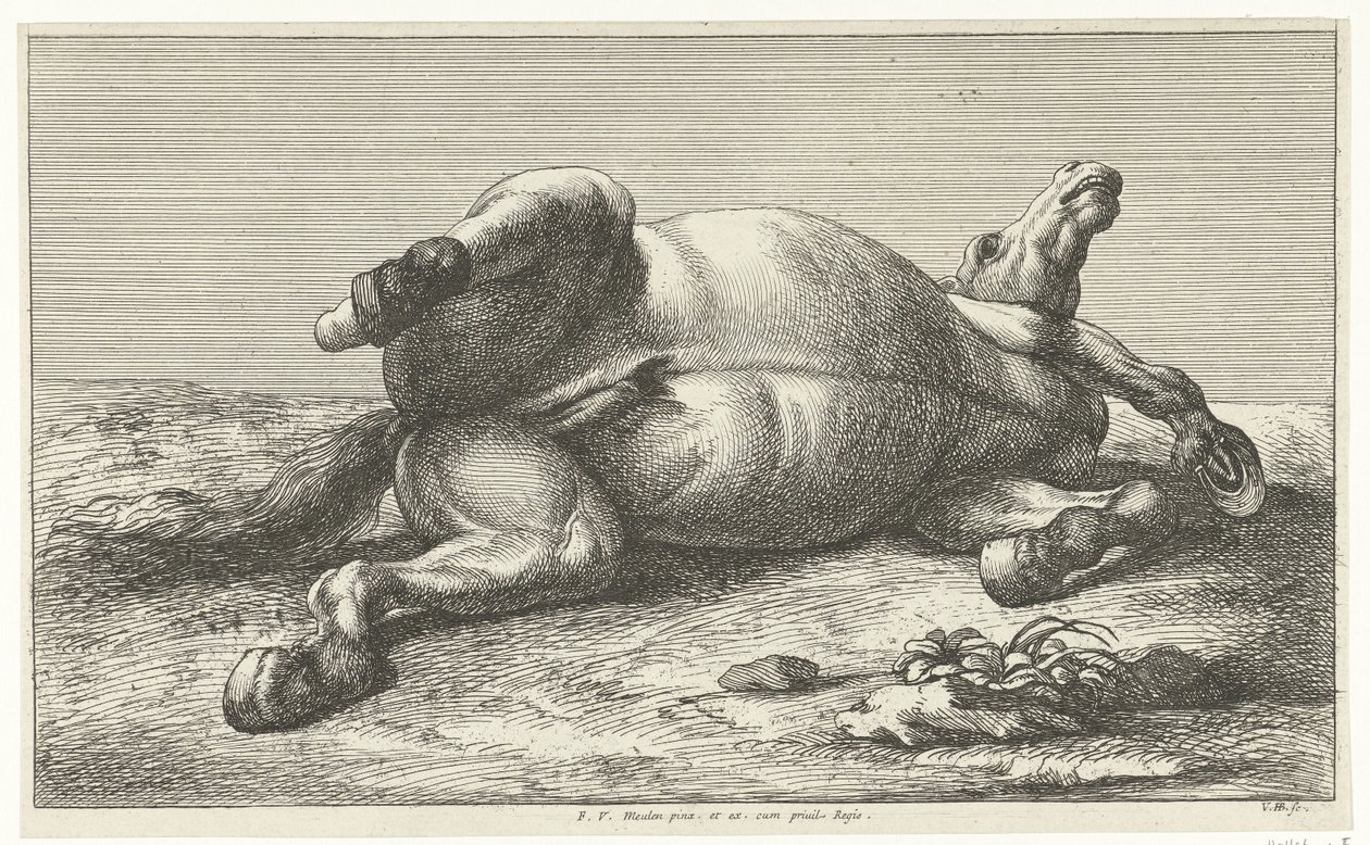 Død hest liggende på venstre side Dead Horses (serietittel) av Jan van Huchtenburg