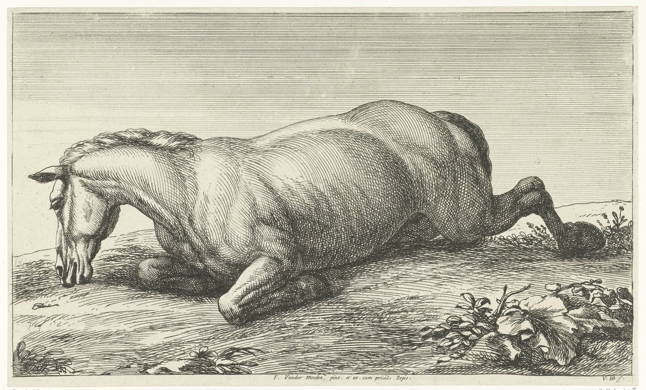 Fallen Horse liggende på magen Fallen Horses (serietittel) av Jan van Huchtenburg
