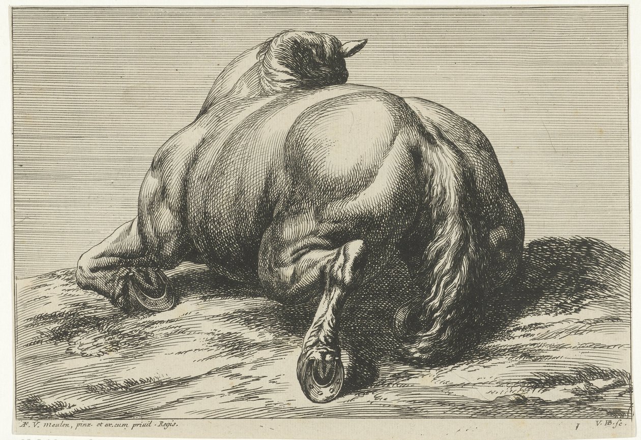 Fallen hest på magen sett bakfra Fallen hester (serietittel) av Jan van Huchtenburg