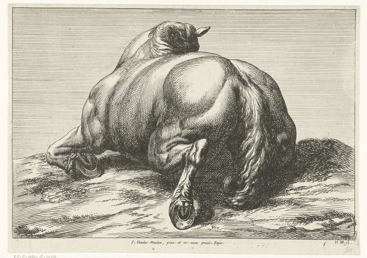 Falt hest på magen sett bakfra Dead Horses (serietittel) av Jan van Huchtenburg