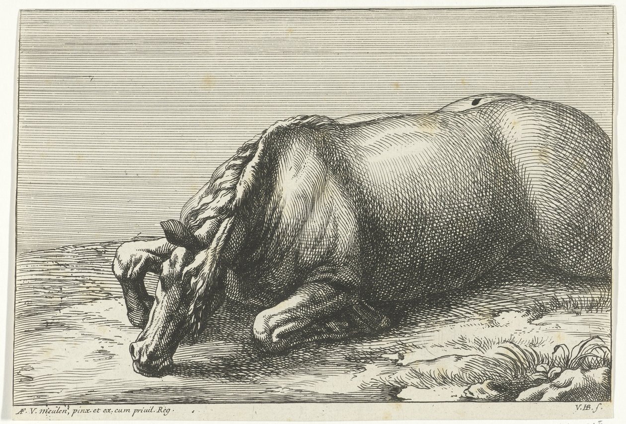 Død hest sett på venstre side Dead Horses (serietittel) av Jan van Huchtenburg