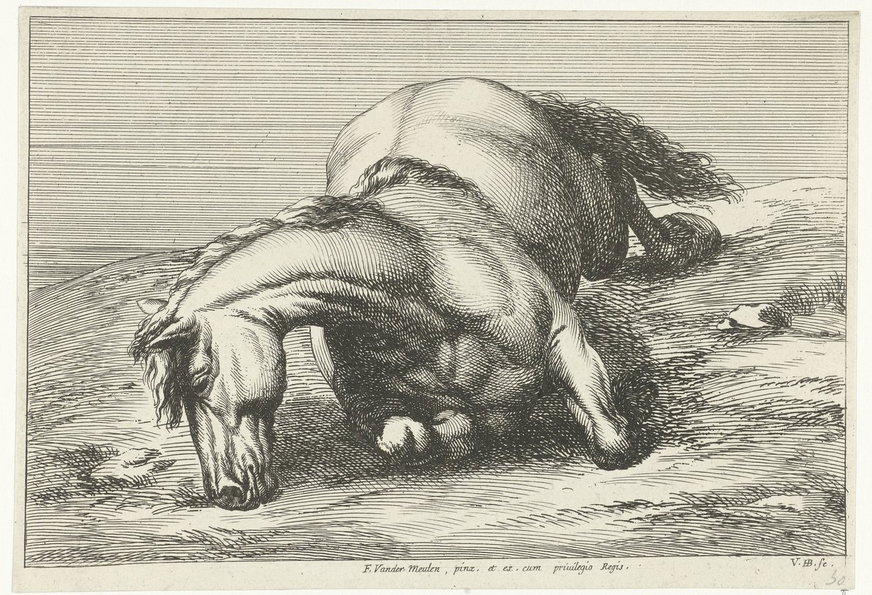 Død hest liggende på høyre side Dead Horses (serietittel) av Jan van Huchtenburg