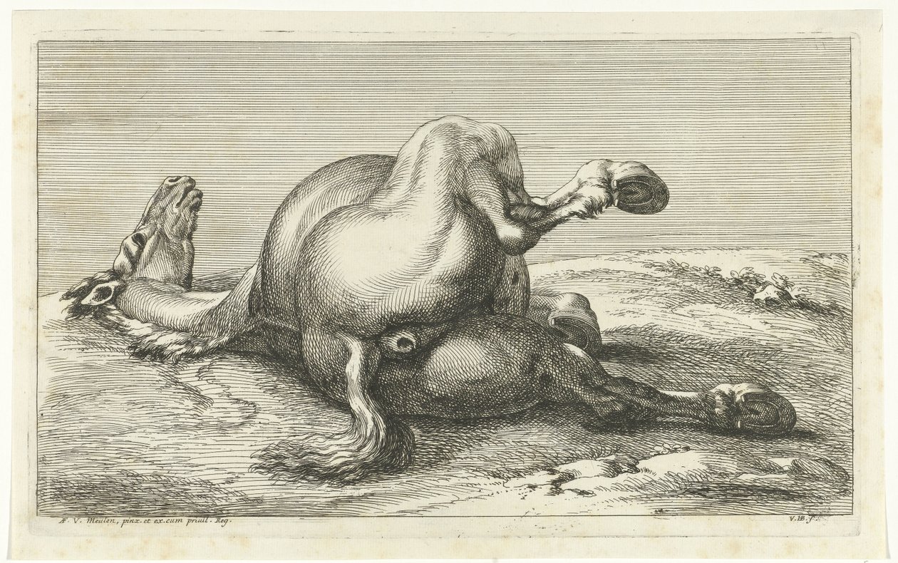 Død hest sett bakfra Dead Horses (serietittel) av Jan van Huchtenburg
