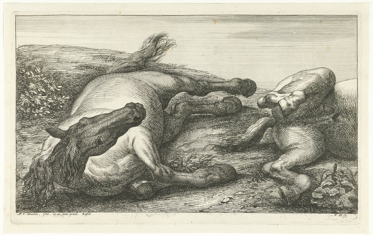 Two Fallen Horses, den venstre sett forfra Fallen Horses (serietittel) av Jan van Huchtenburg