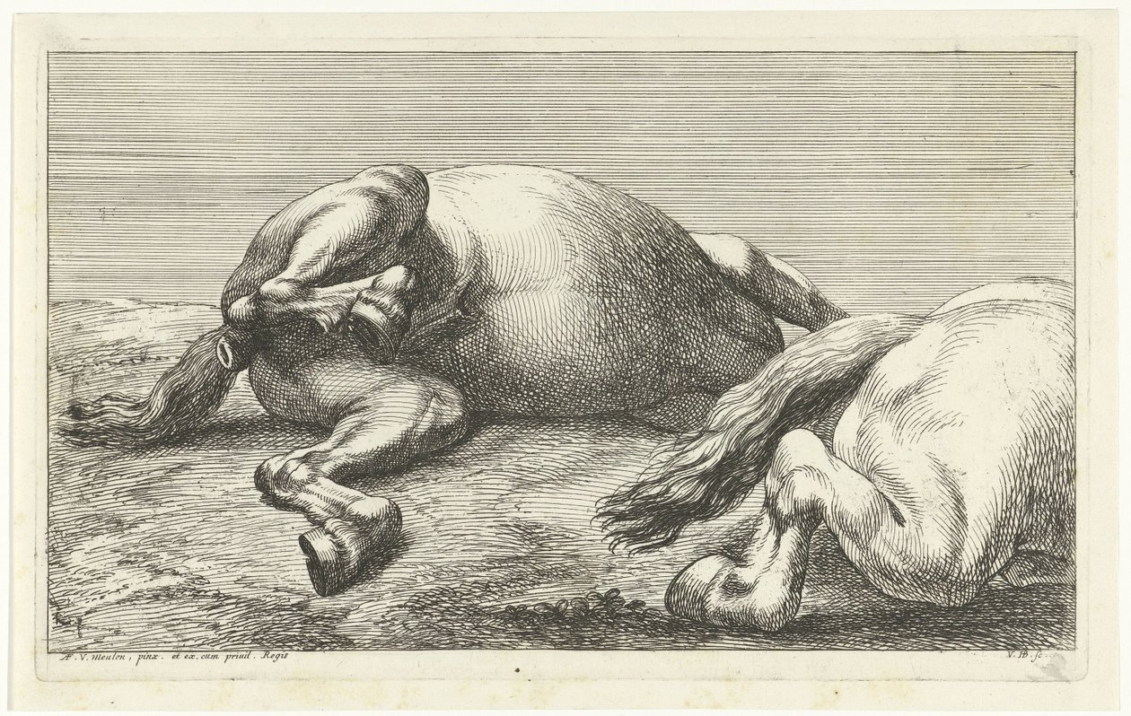 To falne hester, den høyre sett fra siden Dead Horses (serietittel) av Jan van Huchtenburg