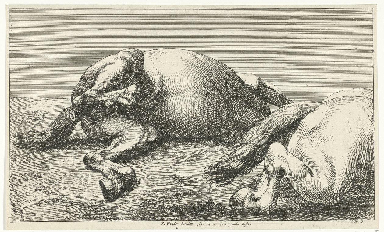To falne hester, den høyre sett fra siden Dead Horses (serietittel) av Jan van Huchtenburg