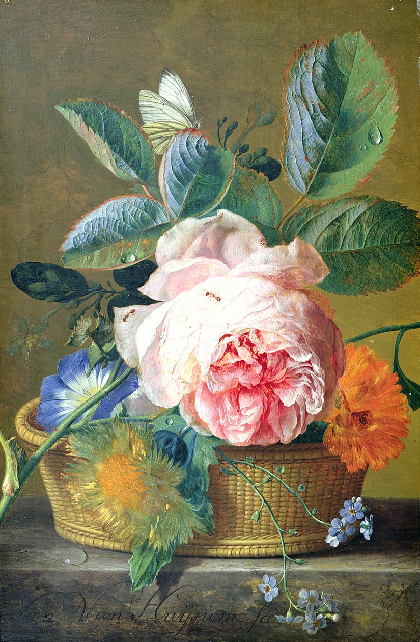 En kurv med blomster, 1740-45 av Jan van Huysum