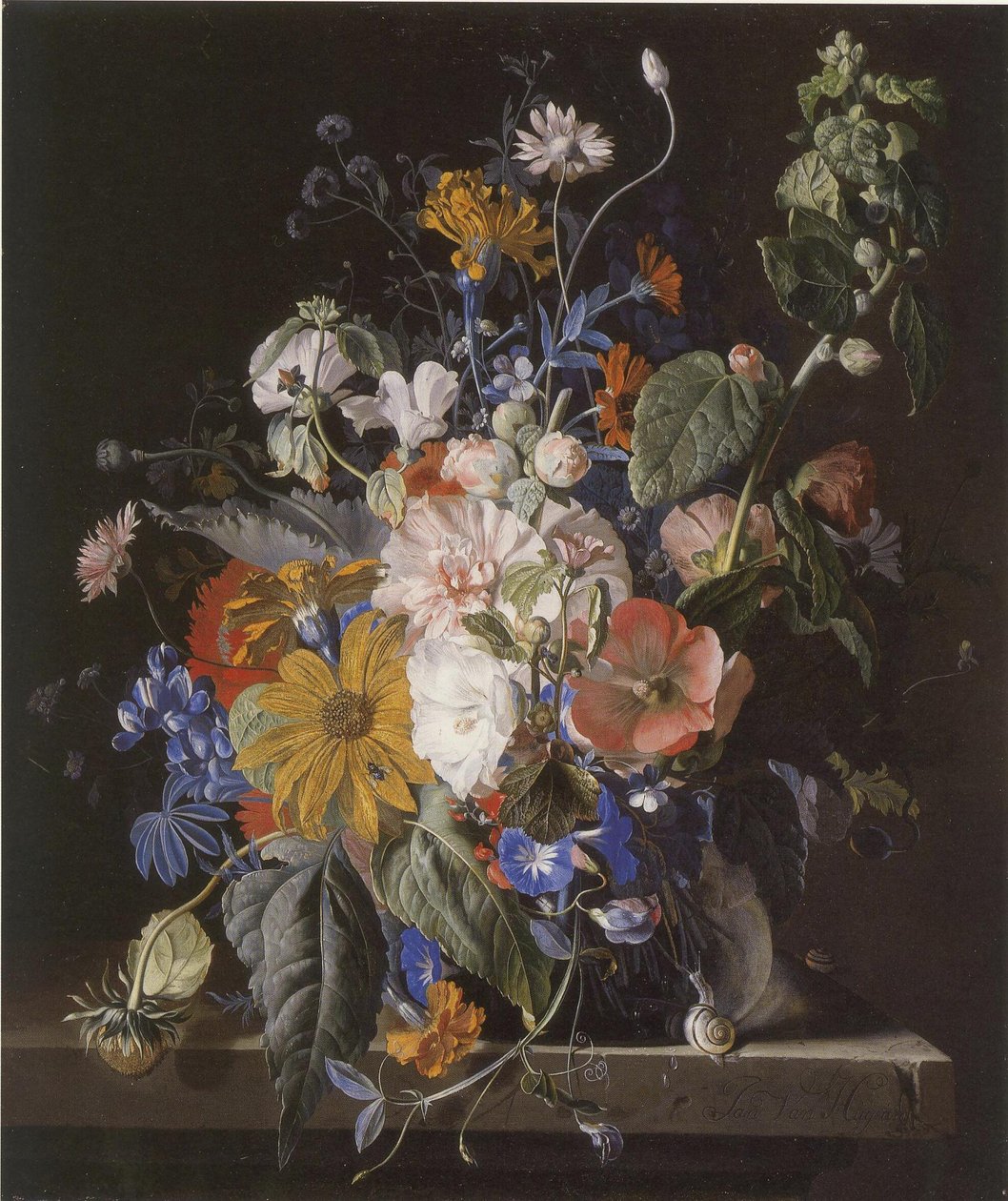  av Jan van Huysum
