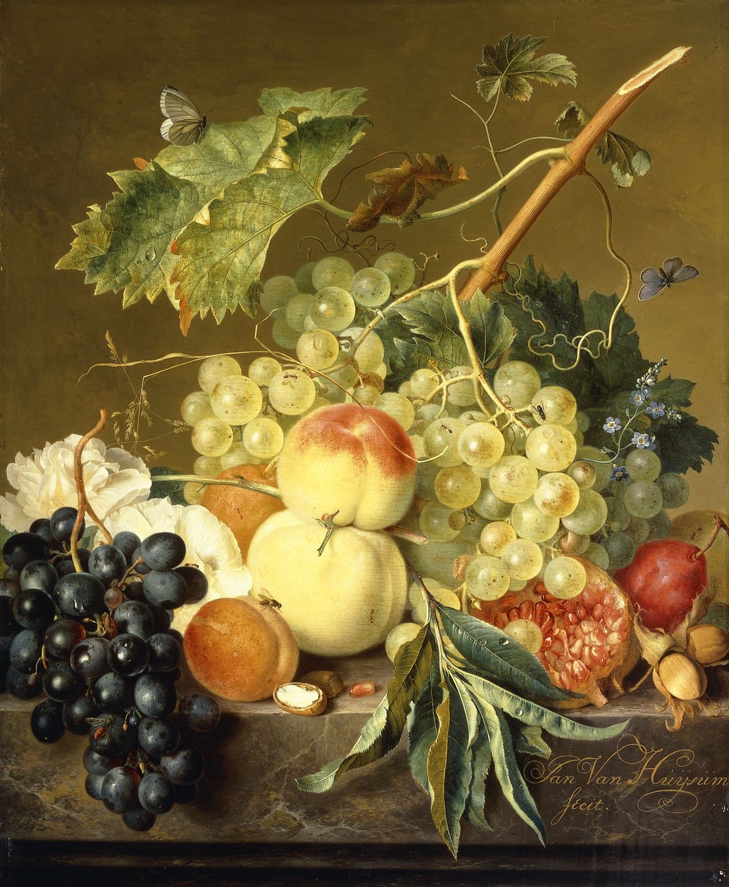 Frukt, hasselnøtter og stokkroser på en marmorhylle, av Jan van Huysum