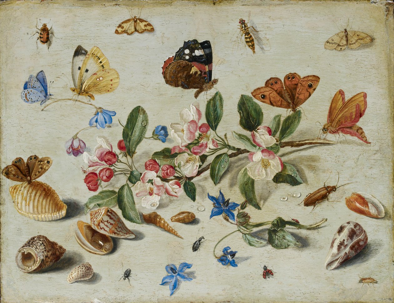 Blomster og insekter, slutten av 1650-tallet eller begynnelsen av 1660-tallet av Jan van Kessel
