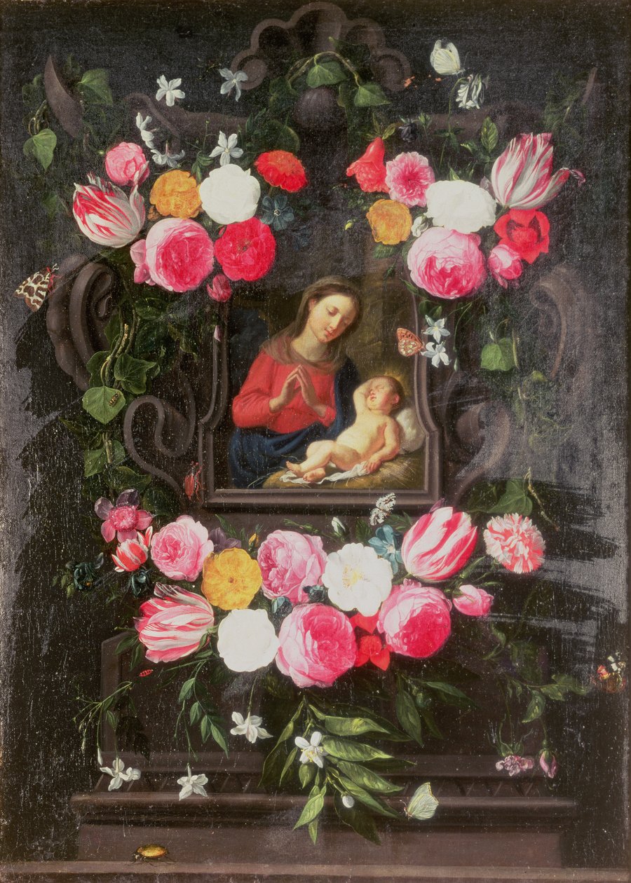Ukjent bilde av Jan van Kessel