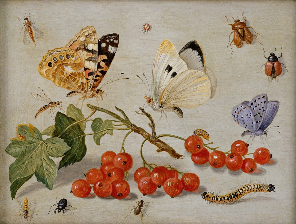 Et stilleben med kvist av rips, sommerfugler, biller, larve og insekter (olje på kobber) av Jan van Kessel the Elder