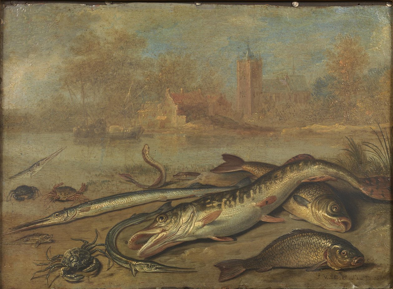  av Jan van Kessel the Elder