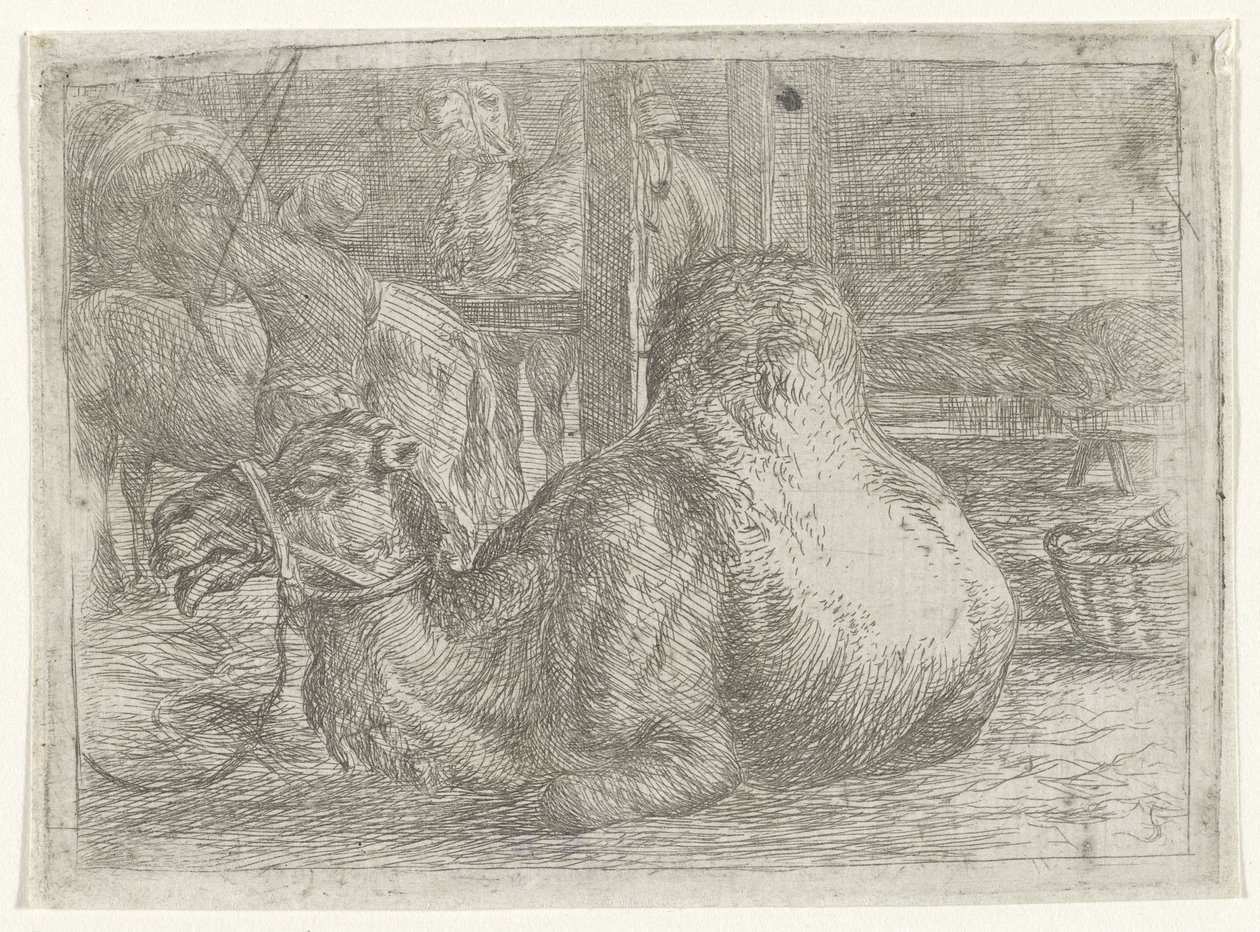 Liggende kamel av Jan van Ossenbeeck