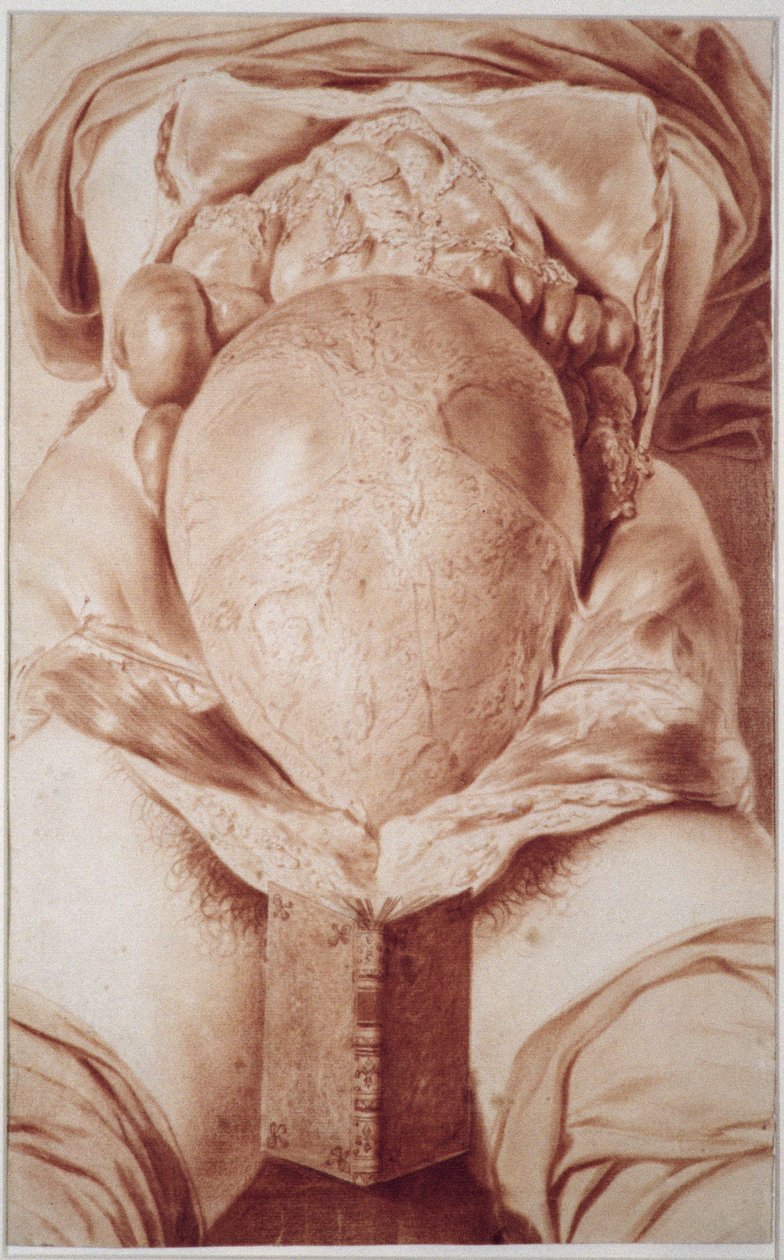 MS Hunter 658 Plate XXVI Tegning fra William Hunters (1718-83) 'Anatomy of the Human Gravid Uterus', 1774 (kritt på papir) av Jan van Rymsdyk