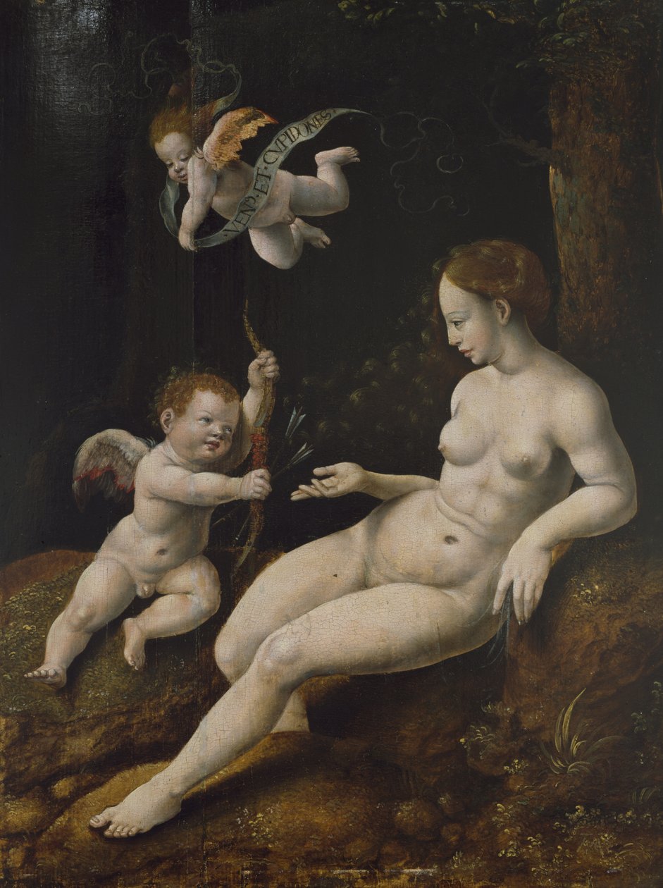Venus og to amoriner, ca. 1528 (olje på panel) av Jan van Scorel