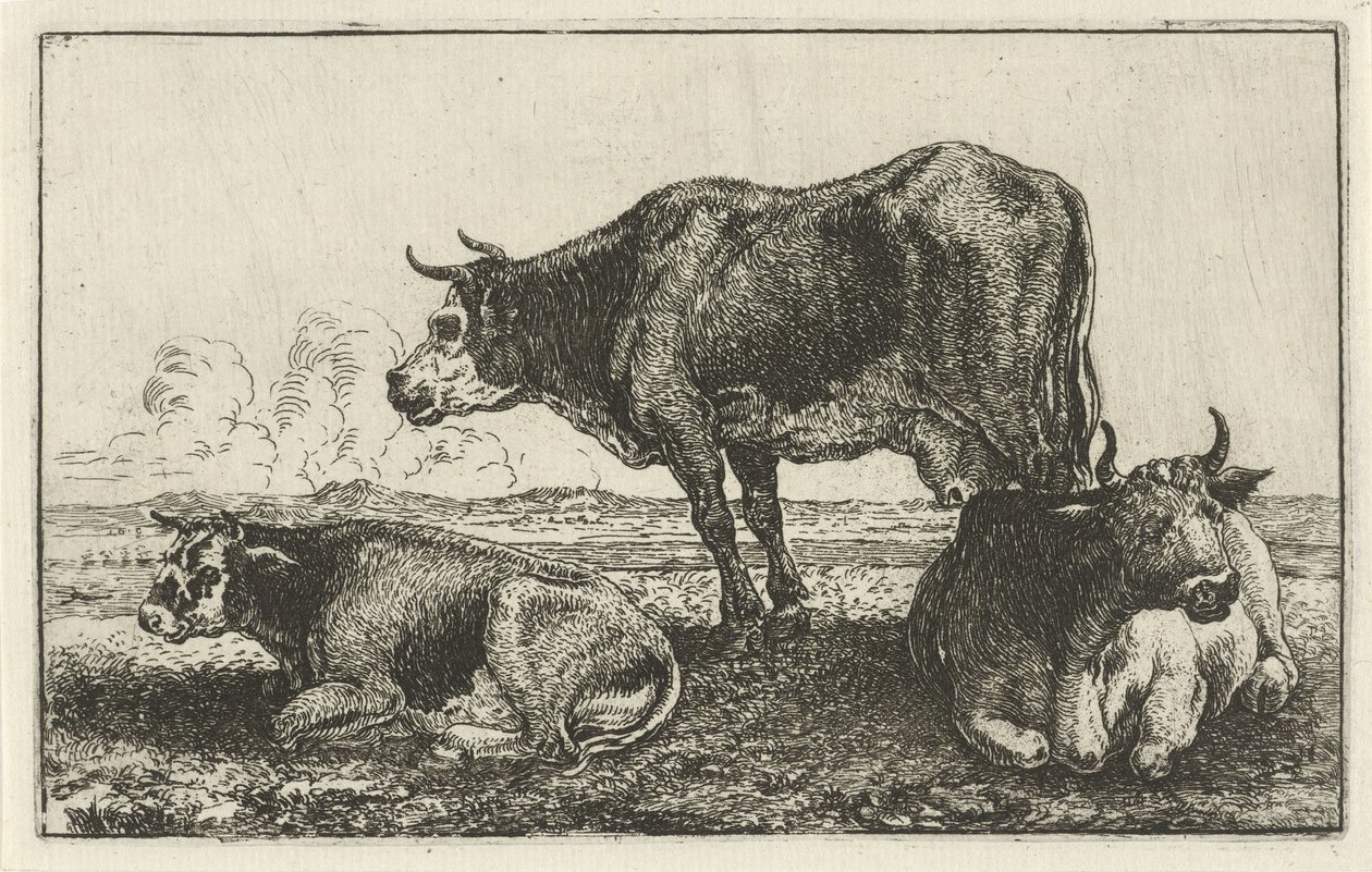 Tre kyr Dyr (serietittel) Zoography (serietittel) av Jan van den Hecke