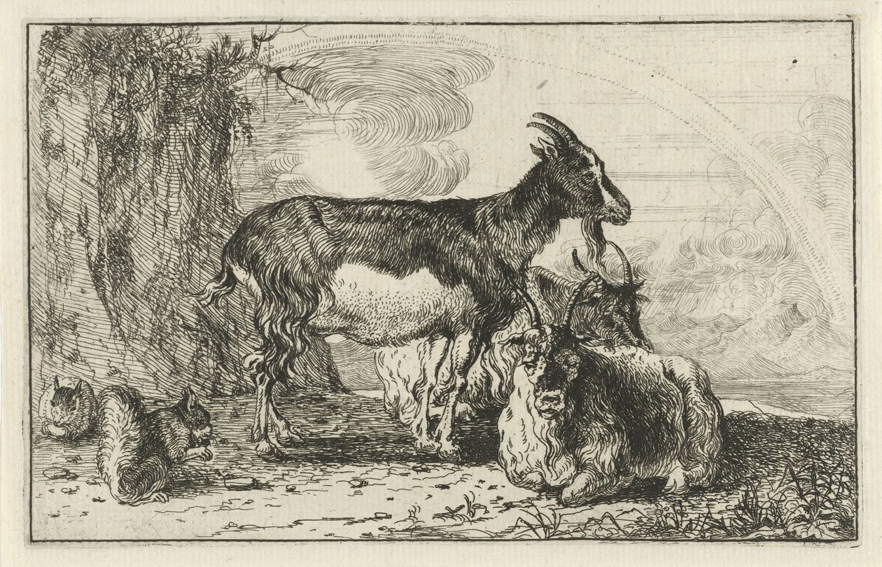 geiter Dyr (serietittel) Zoography (serietittel) av Jan van den Hecke
