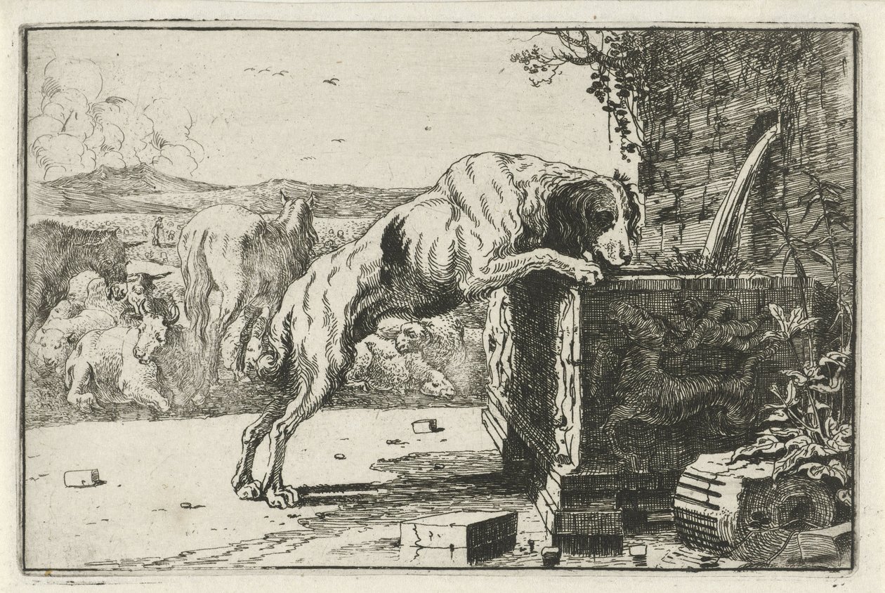 Hund ved en fontene Dyr (serietittel) Zoography (serietittel) av Jan van den Hecke