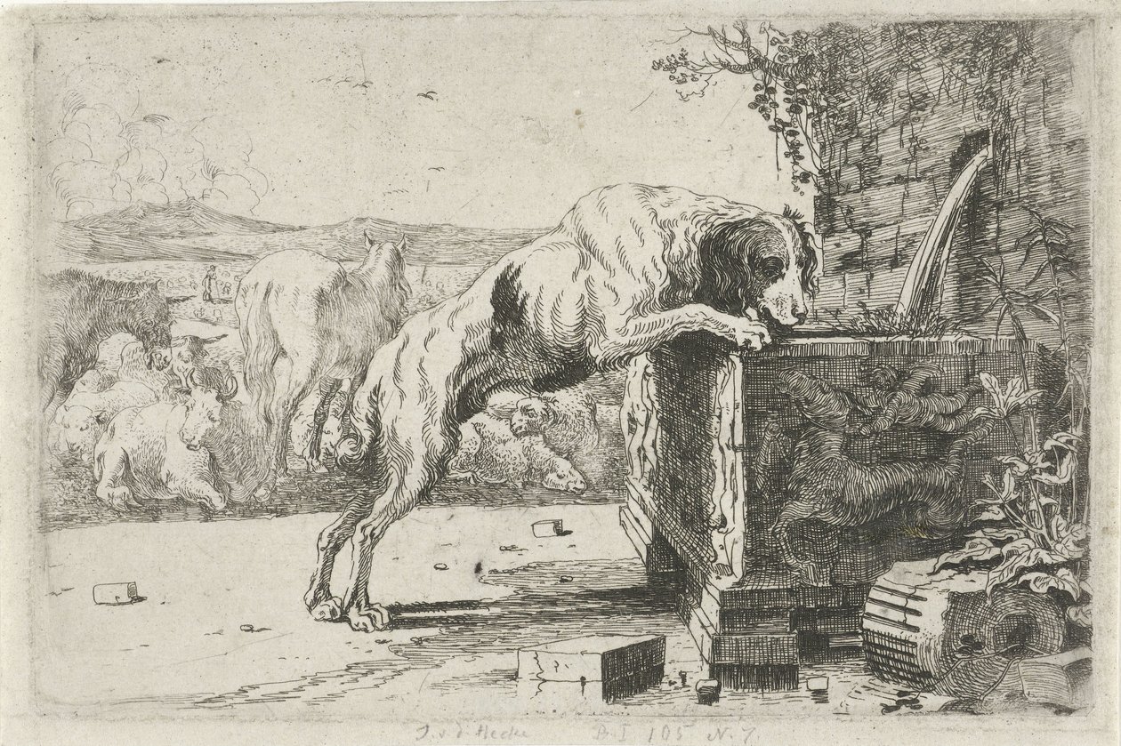 Hund ved en fontene Dyr (serietittel) Zoographiam (serietittel) av Jan van den Hecke