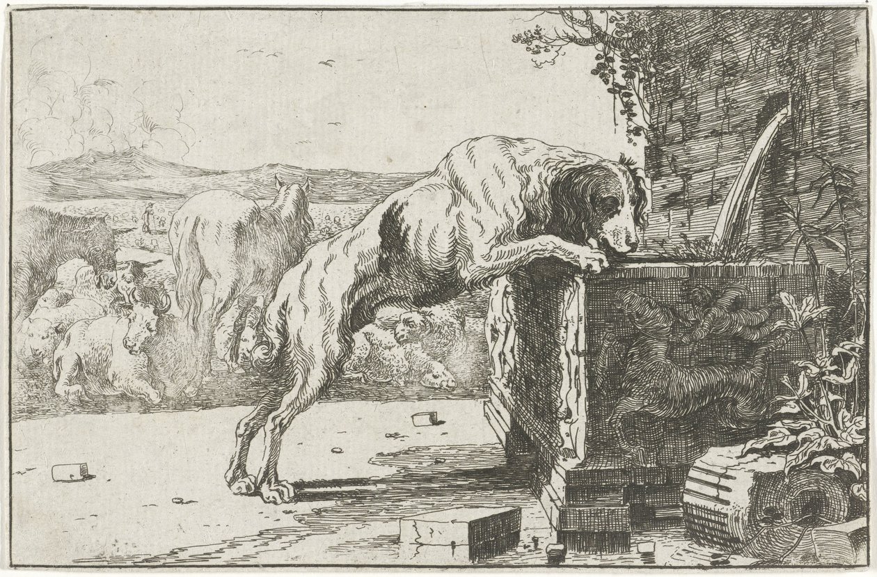 Hund ved en fontene Dyr (serietittel) Zoography (serietittel) av Jan van den Hecke