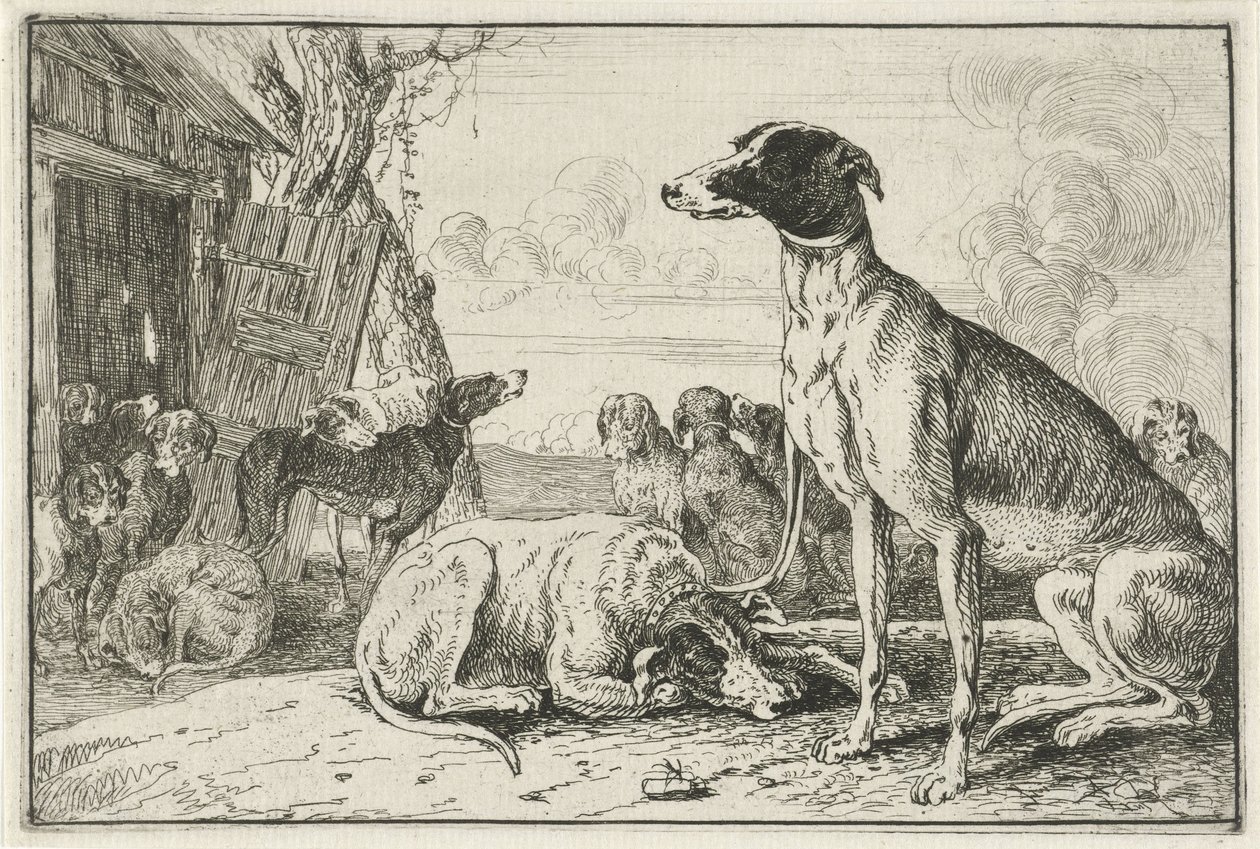Kennel Dyr (serietittel) Zoography (serietittel) av Jan van den Hecke