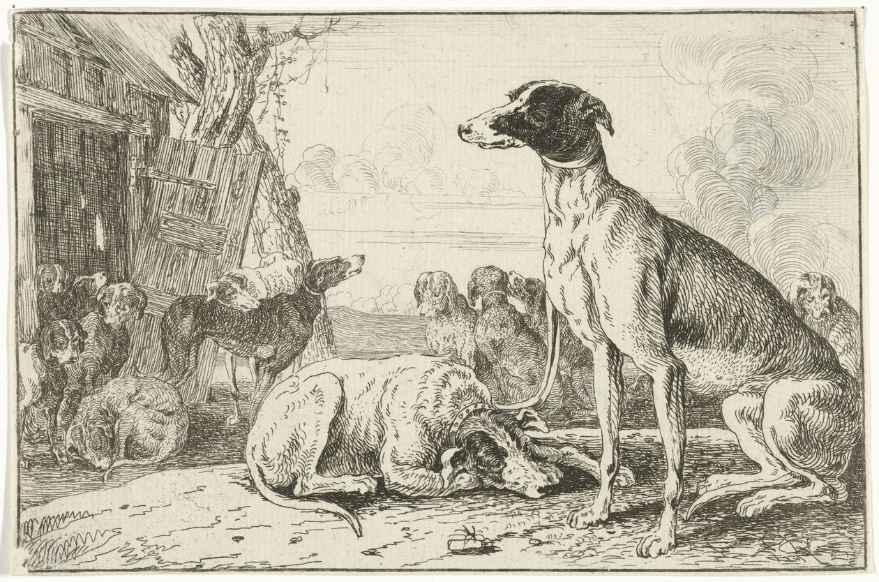 Kennel Dyr (serietittel) Zoography (serietittel) av Jan van den Hecke