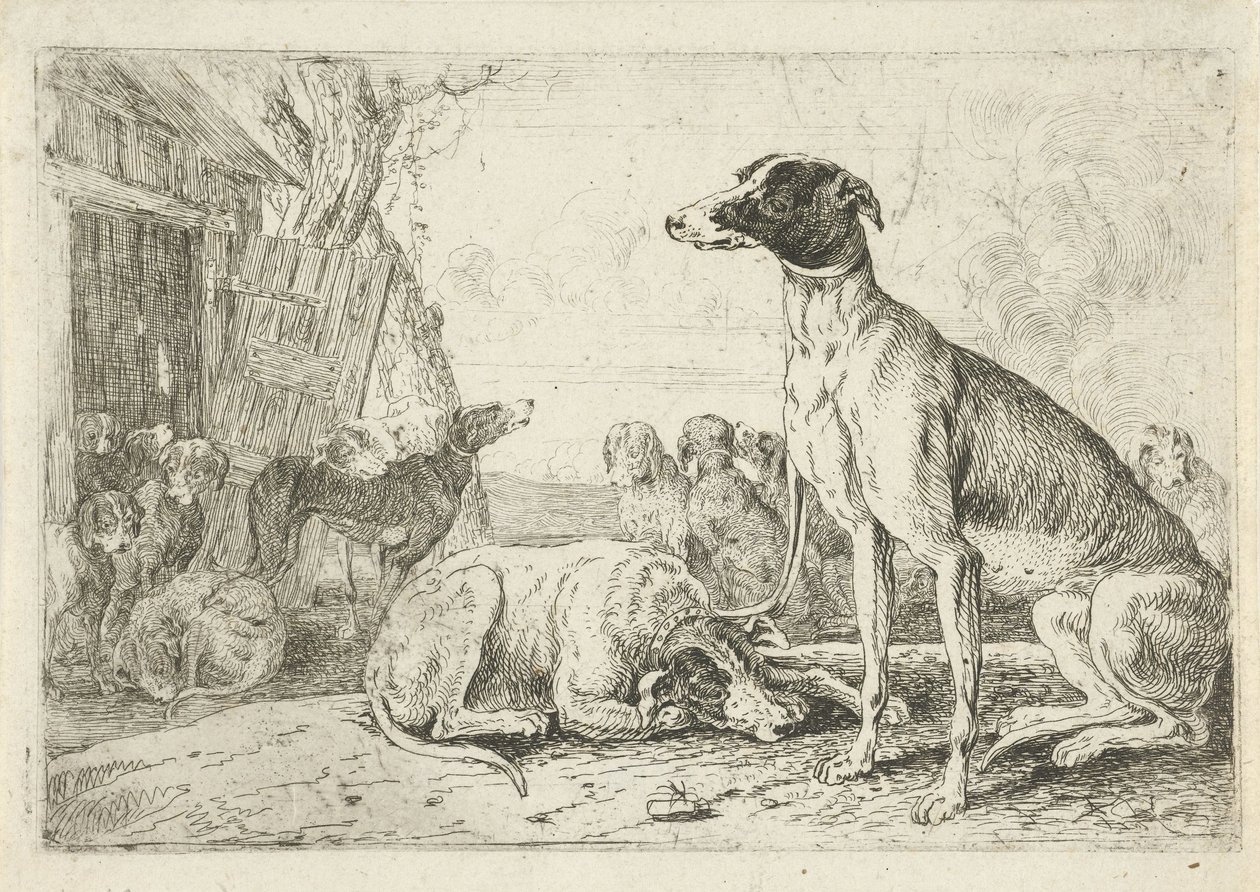 Dog Kennel Animals (serietittel) Zoographiam (serietittel) av Jan van den Hecke