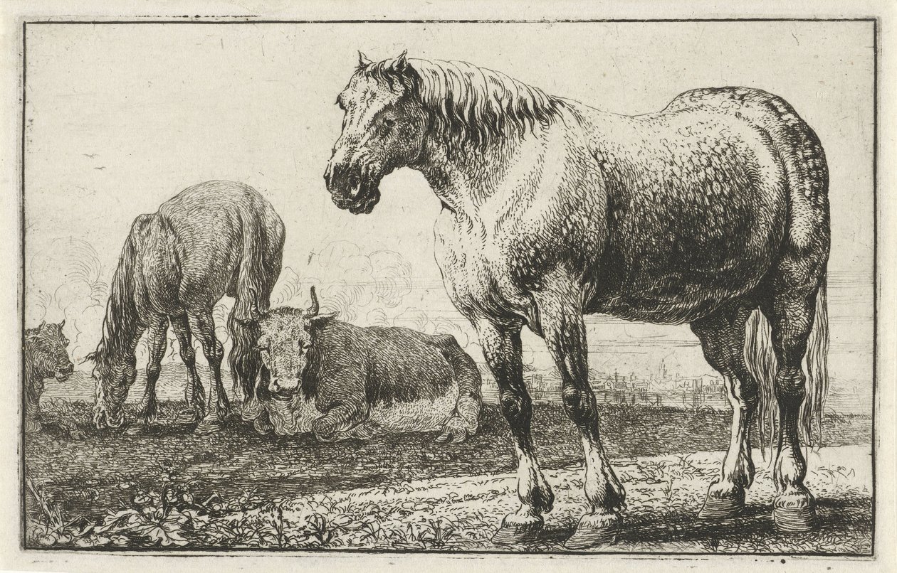 Hester og kyr Dyr (serietittel) Zoography (serietittel) av Jan van den Hecke