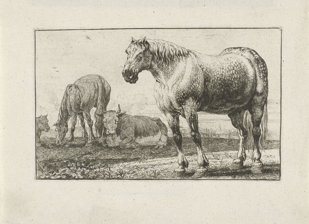 Hester og kyr Dyr (serietittel) Zoography (serietittel) av Jan van den Hecke