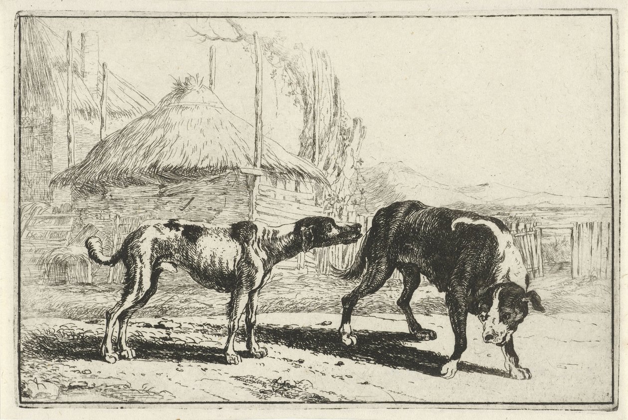 Mann og kvinne Dyr (serietittel) Zoography (serietittel) av Jan van den Hecke