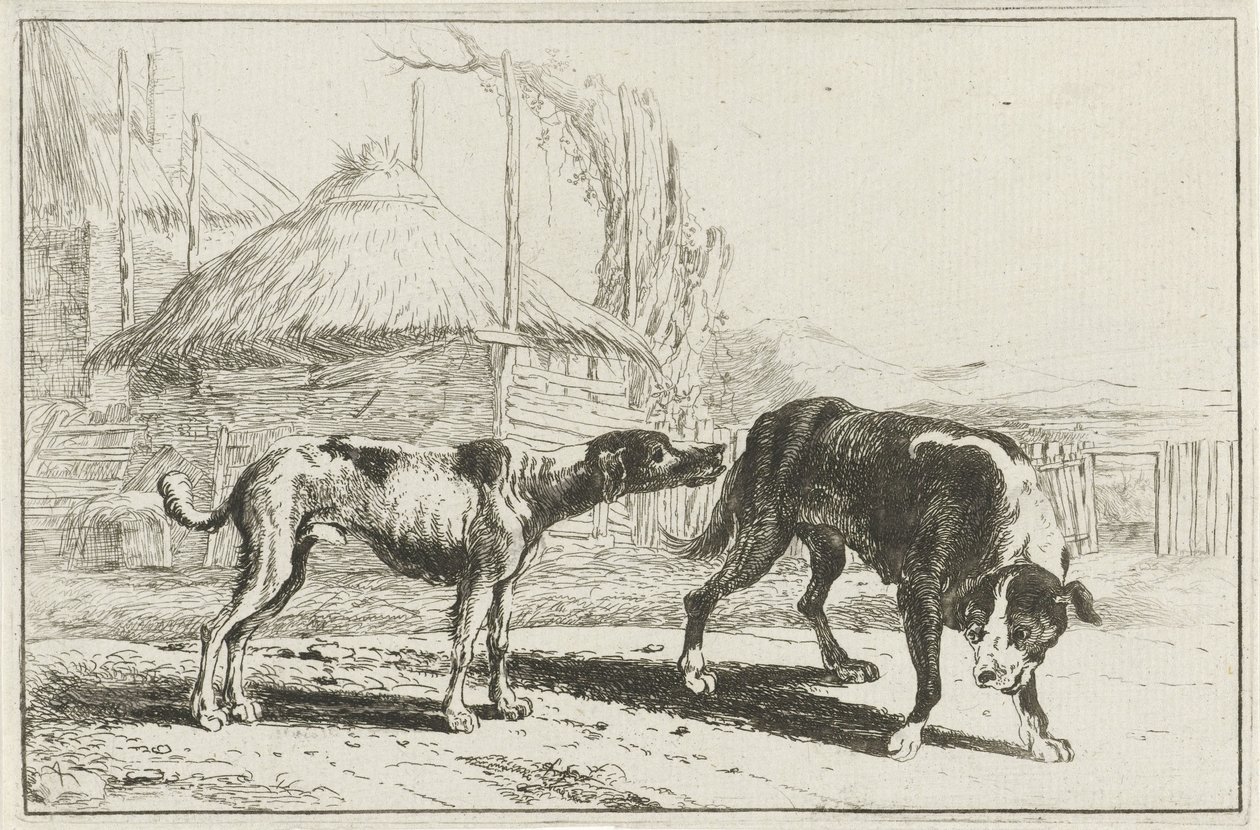Mann og kvinne Dyr (serietittel) Zoography (serietittel) av Jan van den Hecke