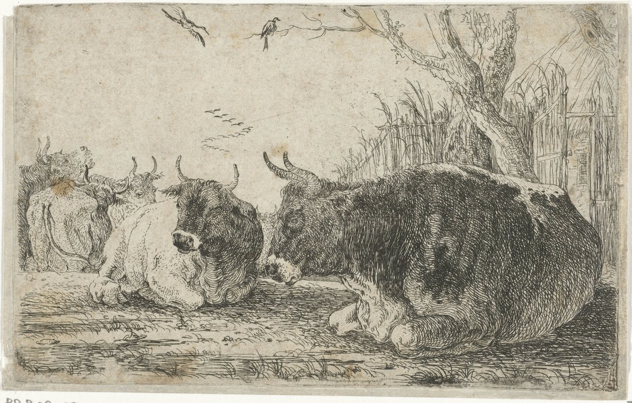 hvilende kyr Dyr (serietittel) Zoography (serietittel) av Jan van den Hecke