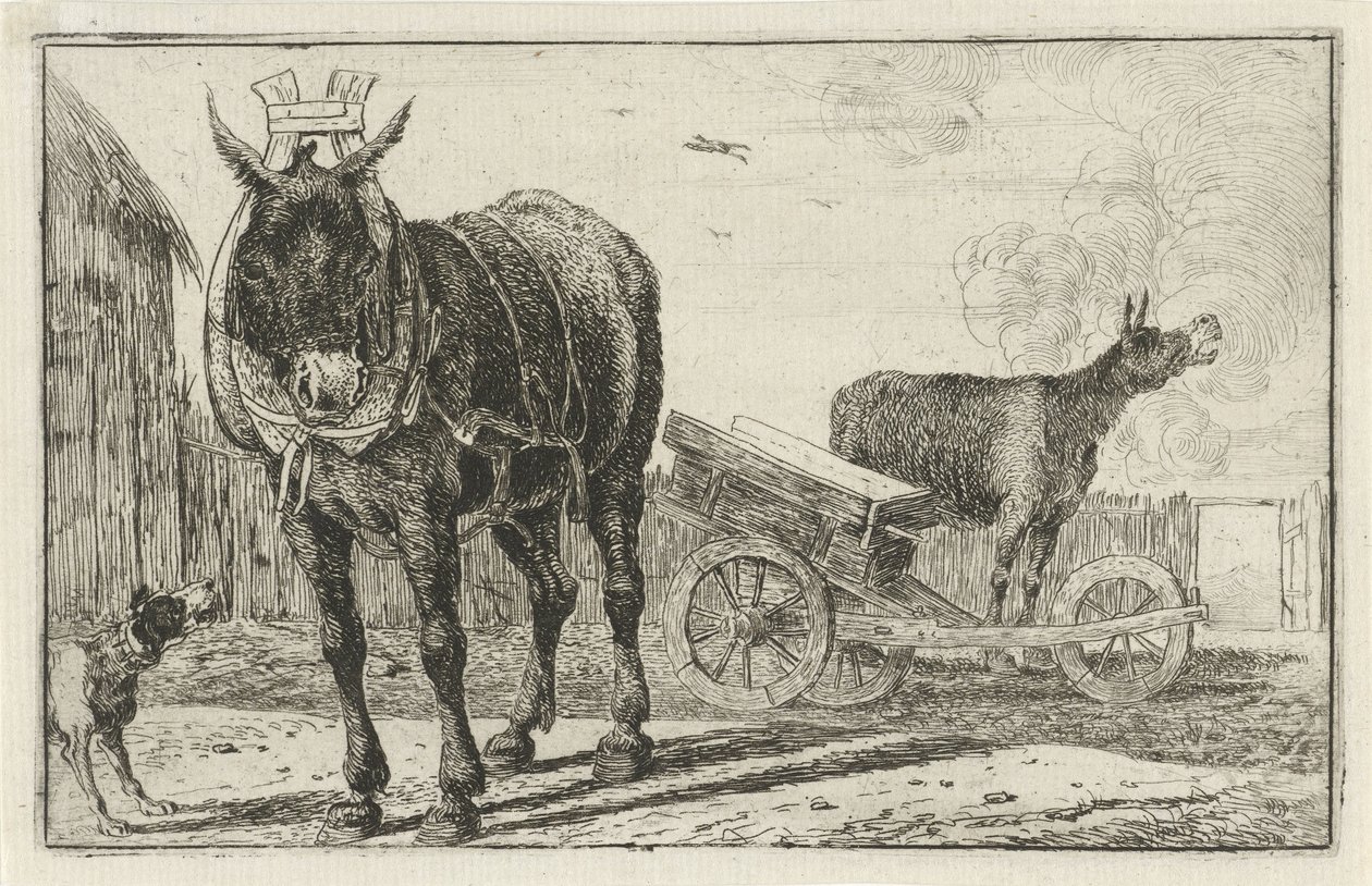 To esler Dyr (serietittel) Zoography (serietittel) av Jan van den Hecke