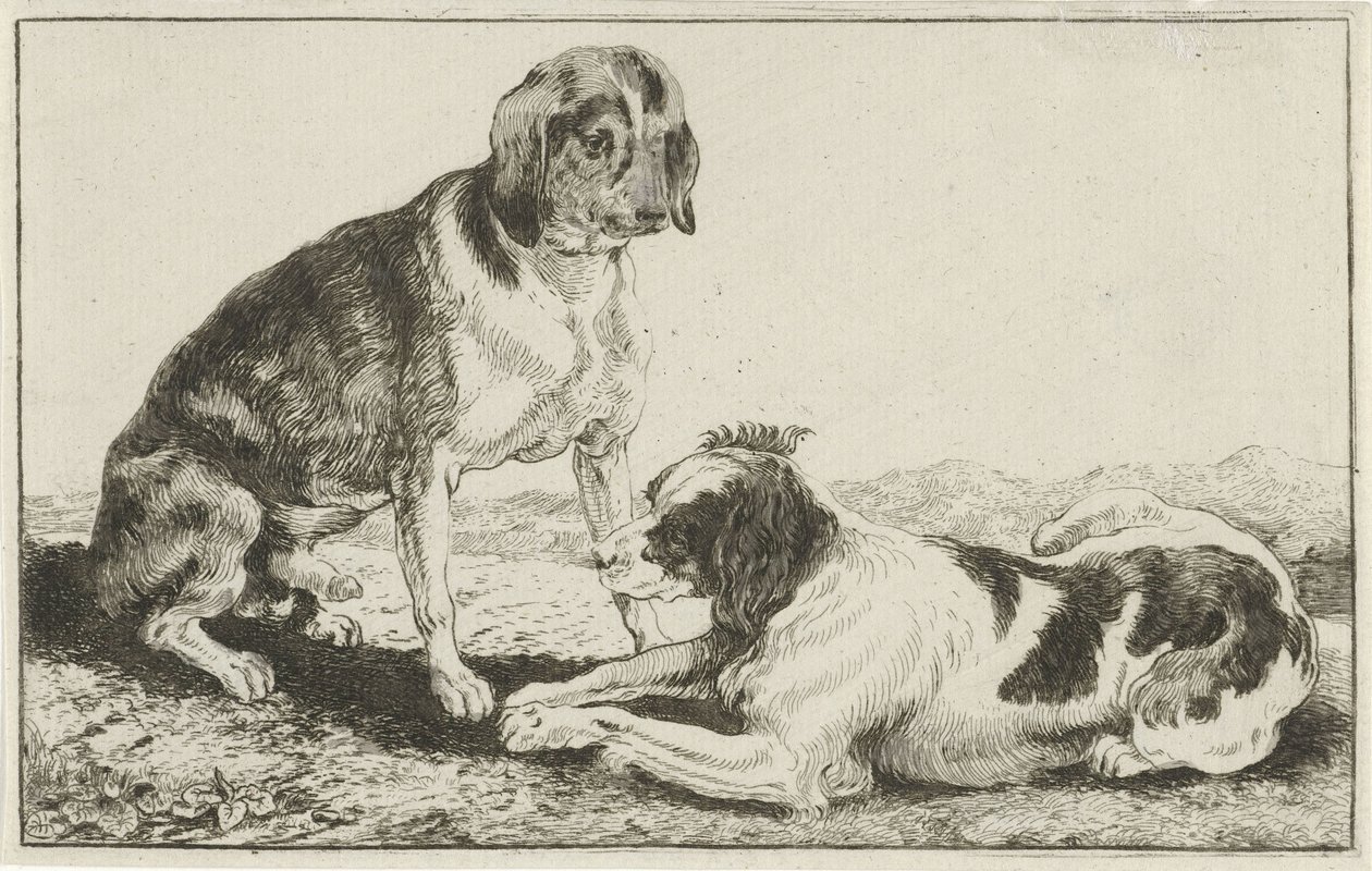 To hvilende hunder Dyr (serietittel) Zoography (serietittel) av Jan van den Hecke