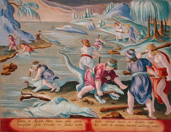 Killing Crocodiles Using Sticks and Clubs, plate 88 fra 