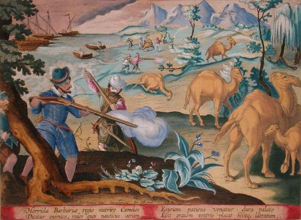 Sjømenn i et grusomt barbarland dreper kameler med musketter for å lindre sulten, plate 28 'Venationes Ferarum, Avium, Piscium' (av jakt: ville dyr, fugler, fisk) gravert av Jan Collaert (1566-1628) utgitt av Phillipus Gallaeus fra Amsterdam ( av Jan van der (1523 1605) (after) Straet