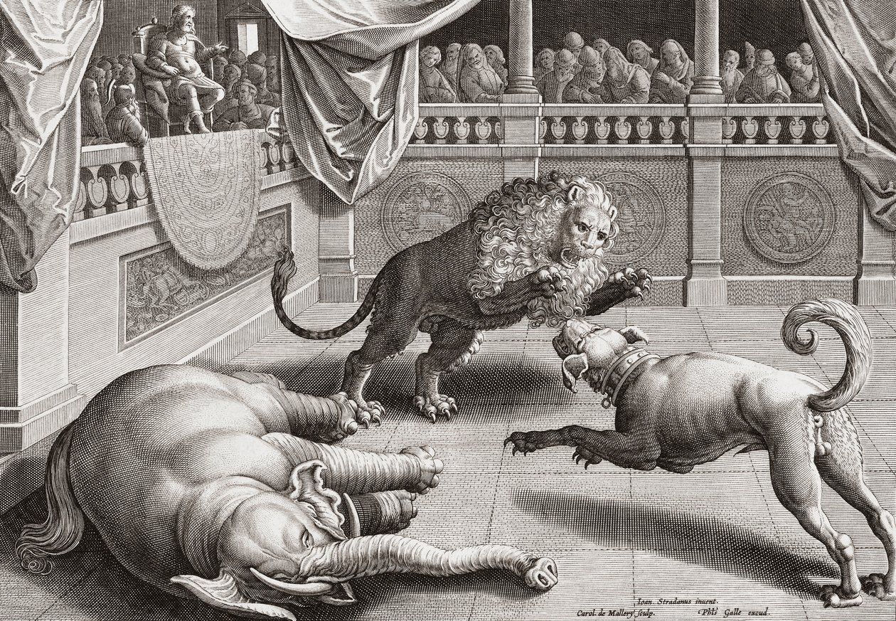 Alexander den store ser på dyr slåss, 1500-tallet av Jan van der 1523 1605 after Straet