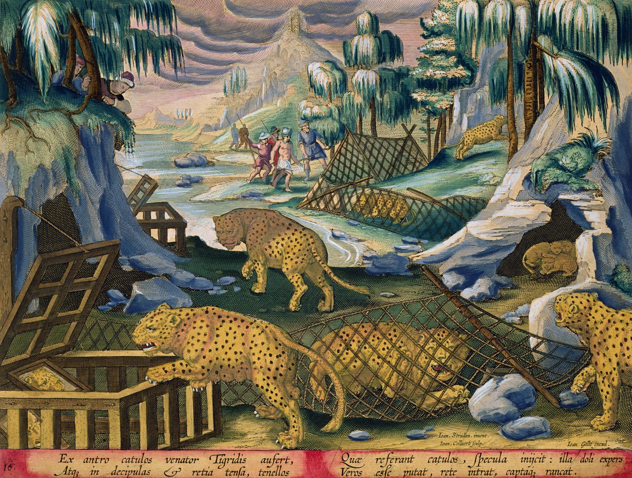 Fange leoparder ved hjelp av nett og bur agnet med speil, plate 15 fra 