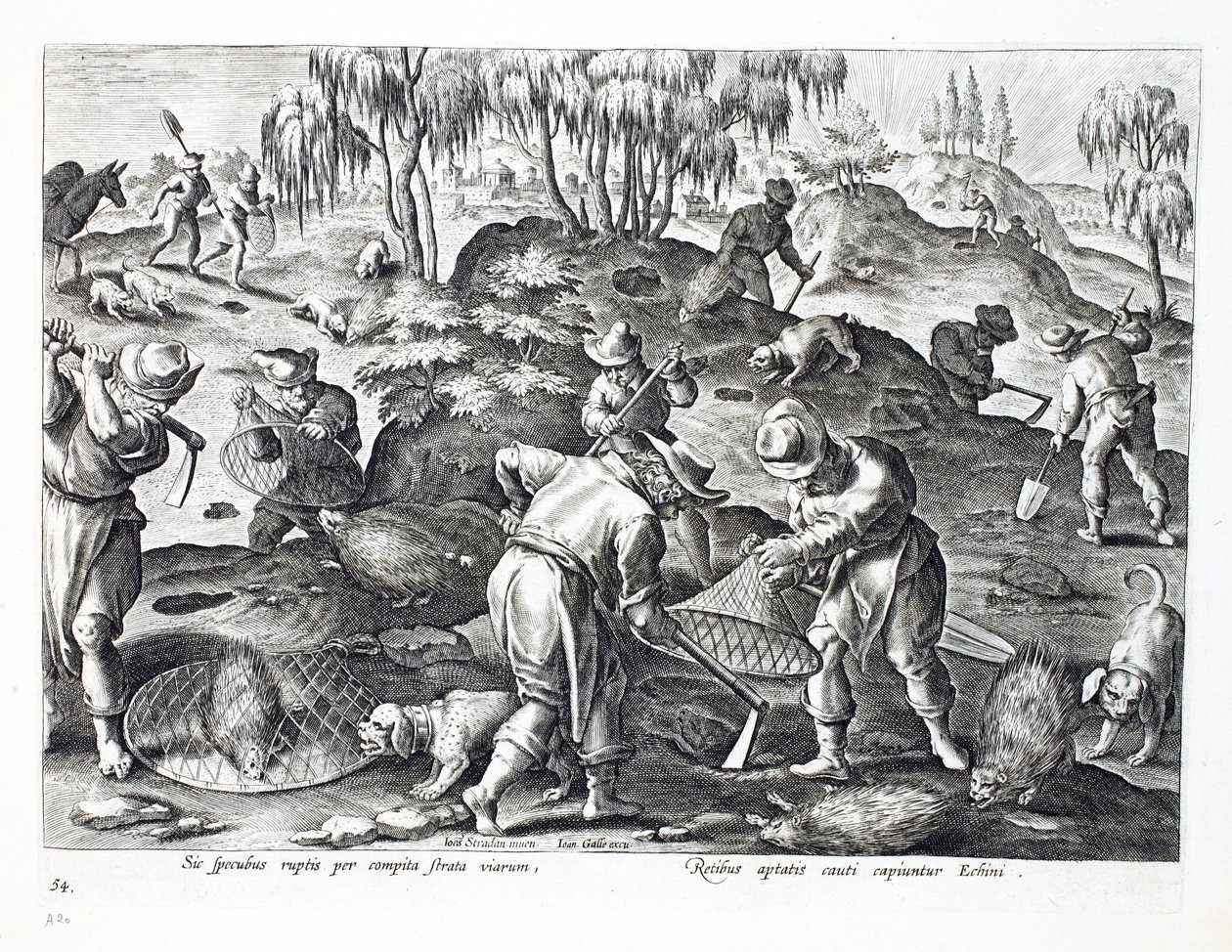Grave ut og fange piggsvin, plate 54, illustrasjon fra 