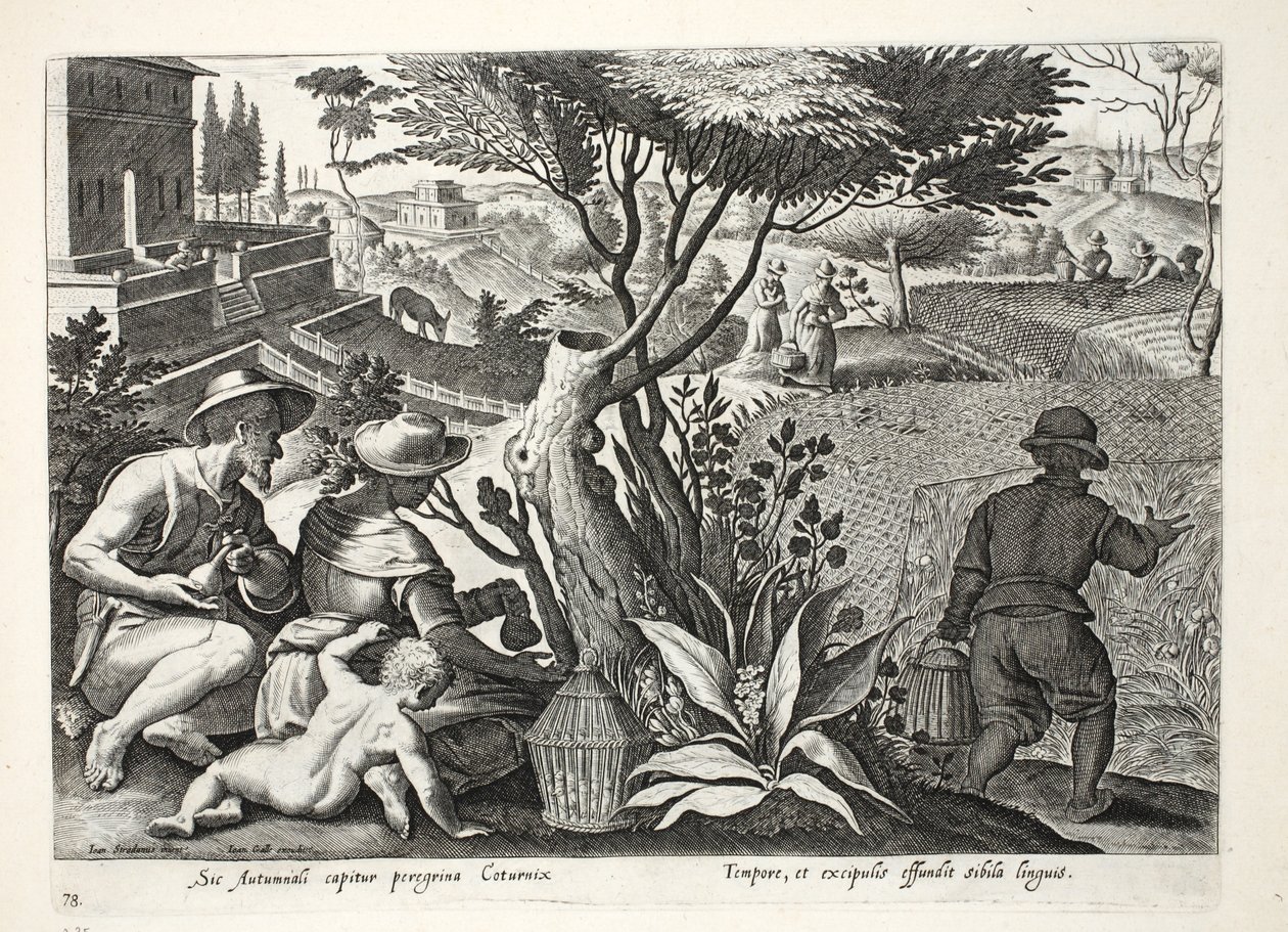 Hunting Quail, illustrasjon fra 