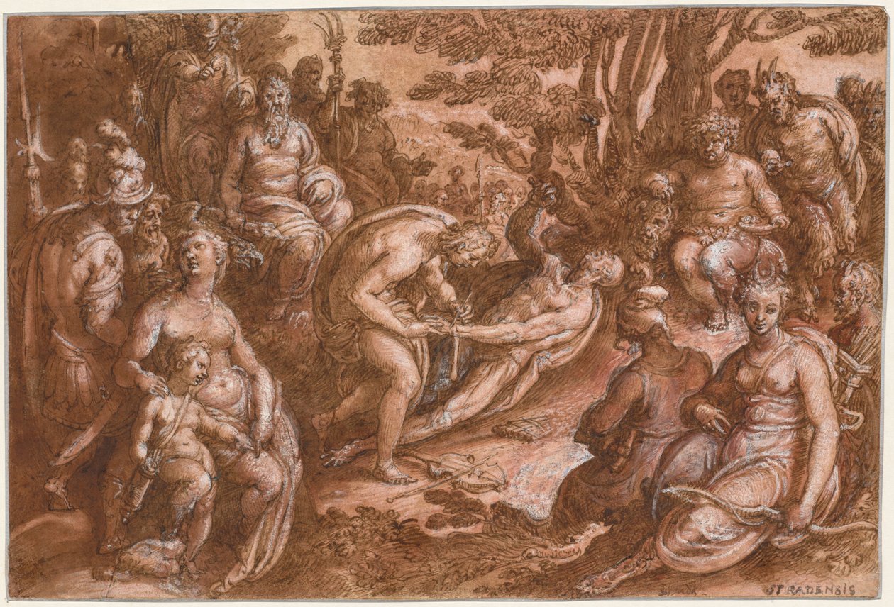 Flagingen av Marsyas av Jan van der Straet, called Johannes Stradanus